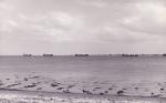 16. ID AA002080 Tankers laid up in the River Blackwater, viewed from West Mersea. About 1960.
Cat1 Blackwater-->Laid up ships